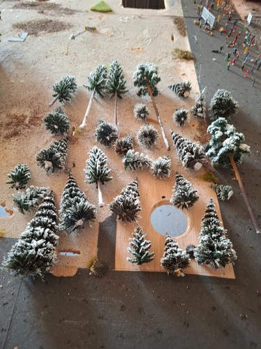 Busch noch schneetannen - busch,