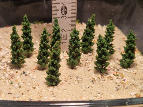 Tannenbäume baum tt - tt,, n